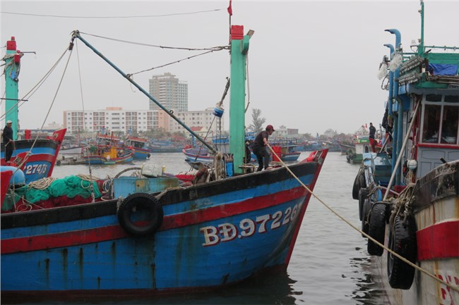 Phiên biển đầu năm lời ít, lỗ nhiều (15/2/2023)